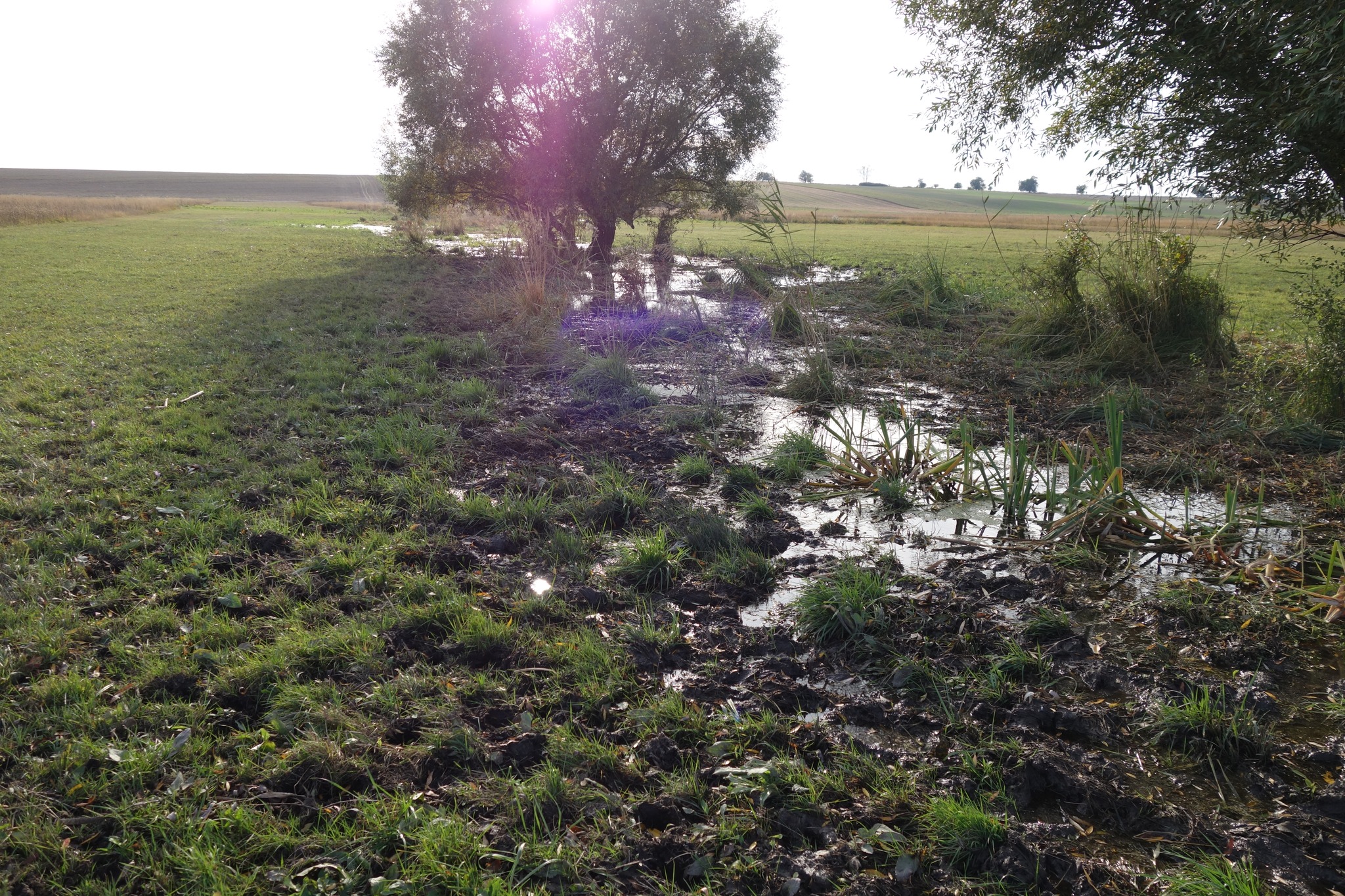 Original river course