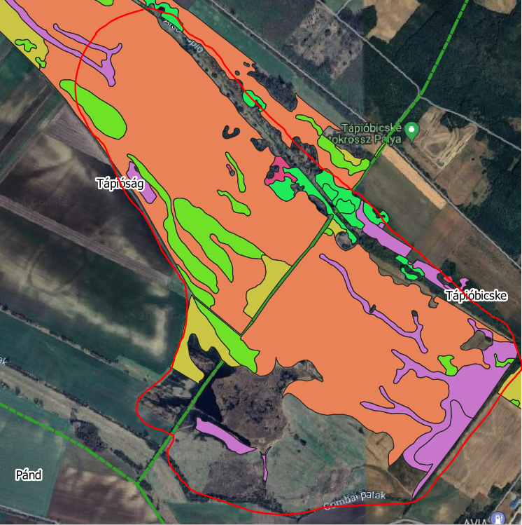 Wet Meadow pre restoration