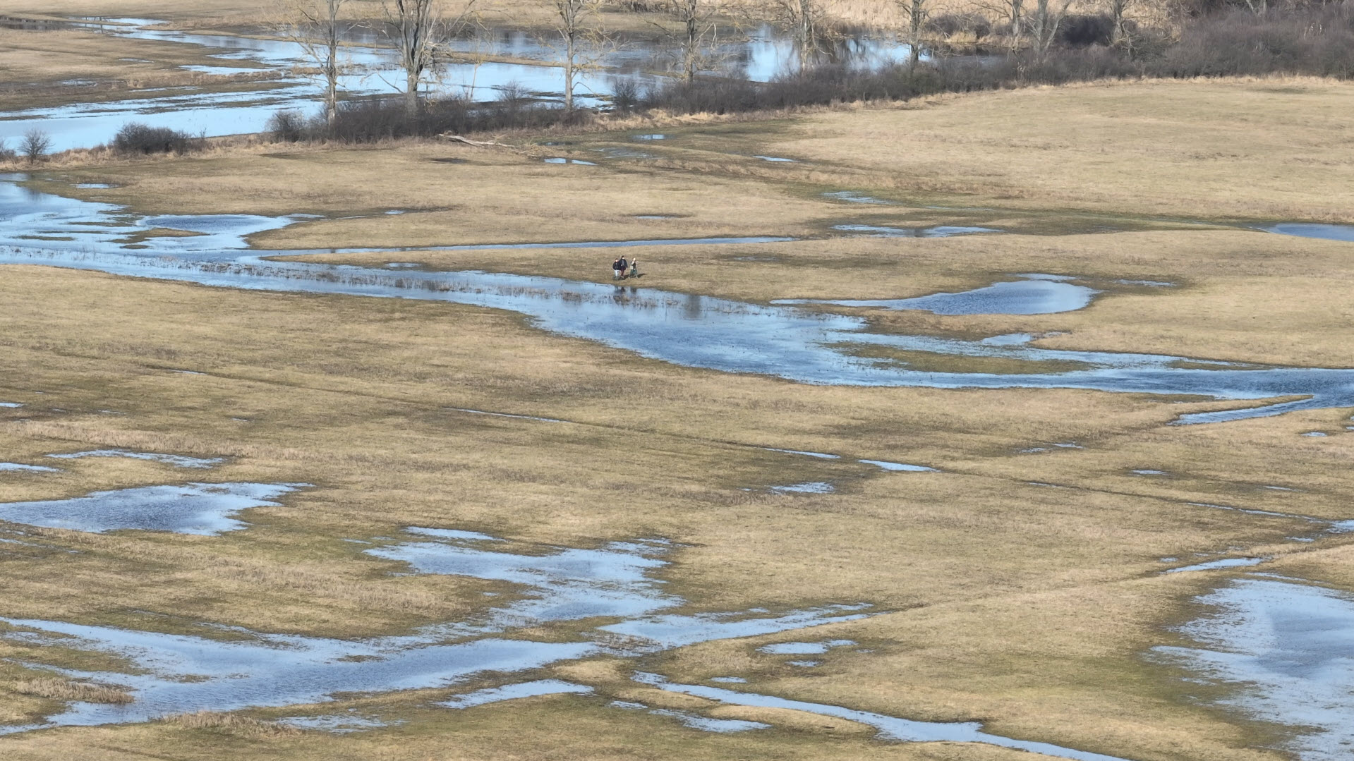 Current post-restoration state of the system Two