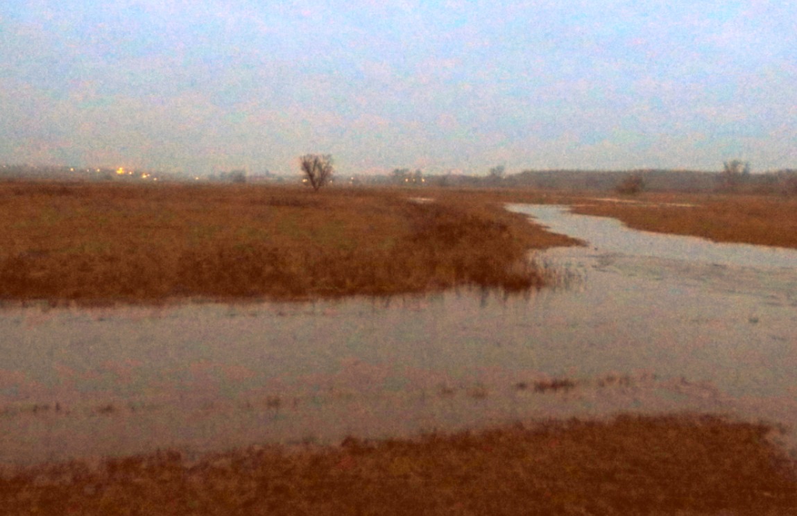 19th Century near natural status