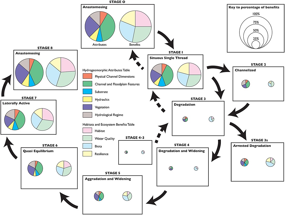 Cluer and Thorne (2014) The benefits resulting from the different stages of the Stream Evolution Model