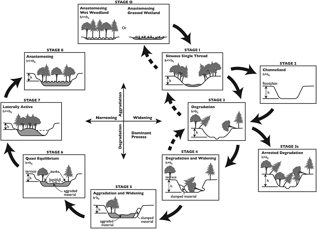 Cluer and Thorne (2014) Stream Evolution Model